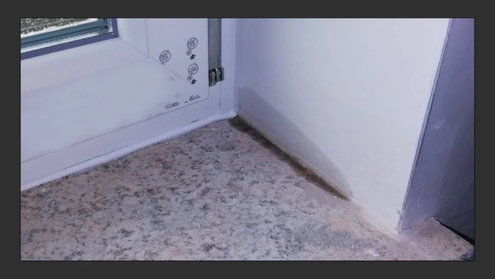 Analisi_problematiche_su_infissi_esistenti_